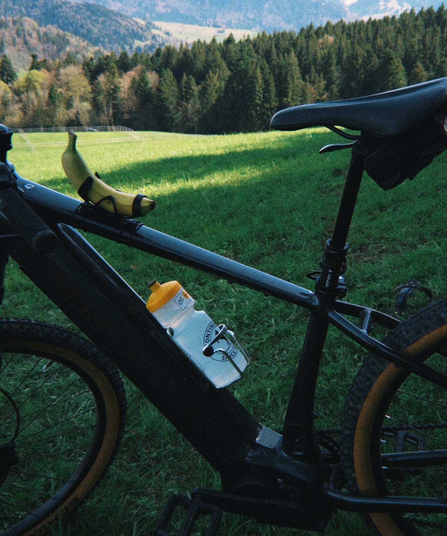 Bananenhalter | Schnelle Banane